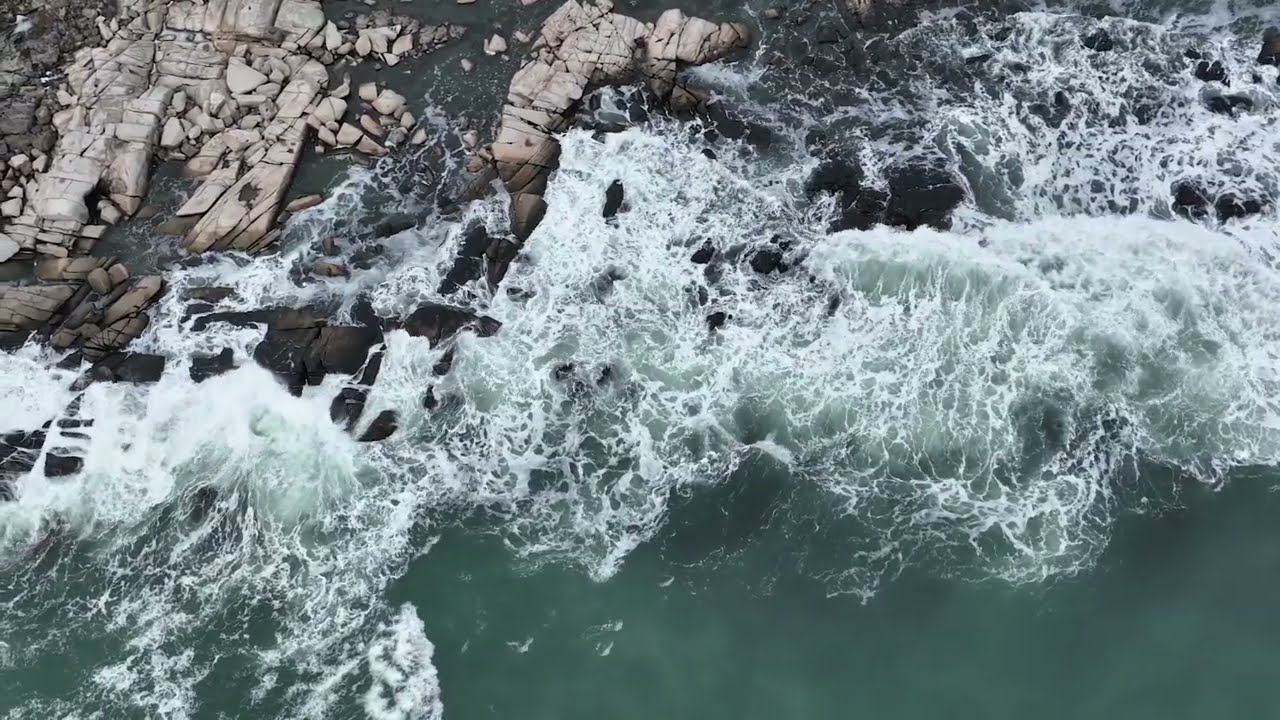 Музыка после тяжелого дня/Saxophone and Nature: Music After a Long Day