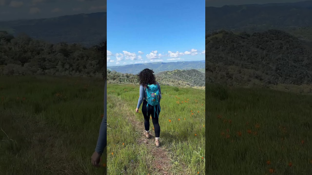 Bay Area hike where you can spot poppies