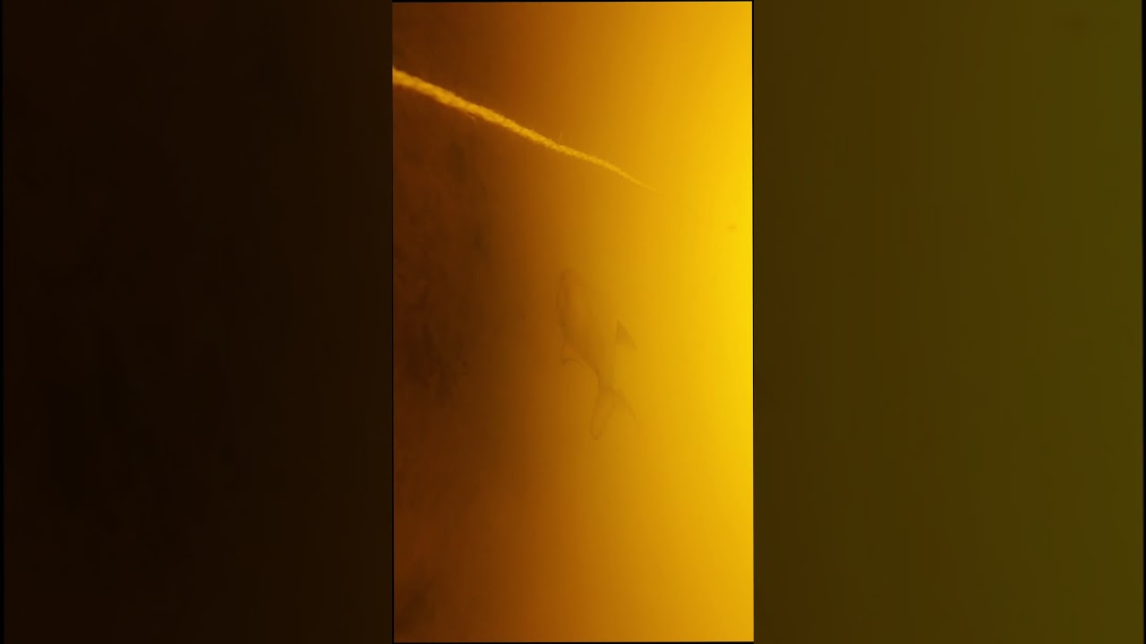 Dvariukai, underwater 