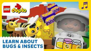 buzz buzz learn busy bees cartoons songs kids lego little