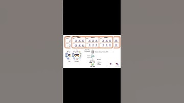 Bitcoin on ICP? Speed & Security Without Third Parties!