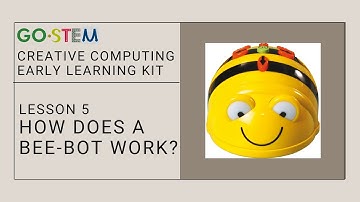 Lesson 5 - How Does a Bee-Bot Work?