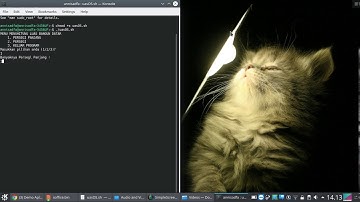 Demo Aplikasi UAS Praktek Sistem Operasi - Using Bash Shell (Annisa Daffa Oktriyana)
