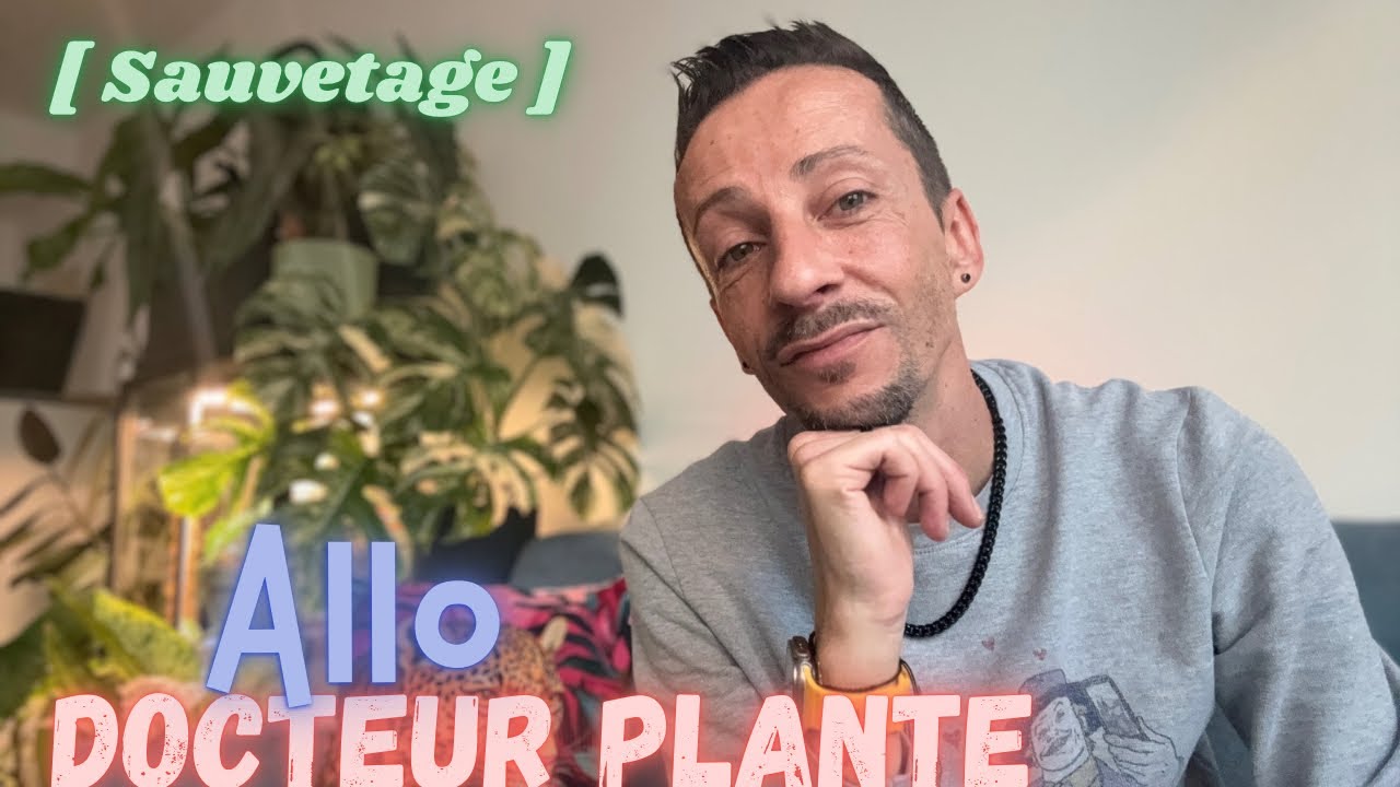 #73-Sauvetage plante / rempotage et Bla-bla #plantaddict