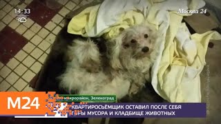 Зоозащитник устроил кладбище домашних животных в съемной квартире - Москва 24 Зоозащитник устроил кладбище домашних животных в съемной квартире - Москва 24