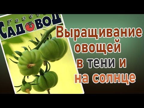 Выращивание овощей в тени и на солнце