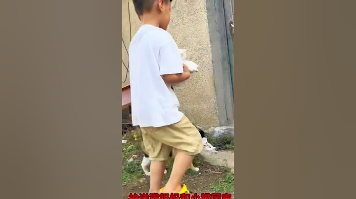 小猫要送人了，妈妈妈飞檐走壁叼着小猫回家#萌宠 #猫咪#你是天故意给我的修炼