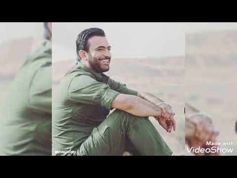 مصطفى الربيعي امام الحب قصيده روعه