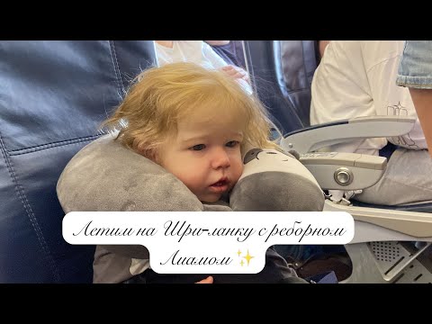 Летим на Шри-Ланку с реборном Лиамом ❤️ Flying to Sri Lanka with reborn Liam❤️#реборн #vlog
