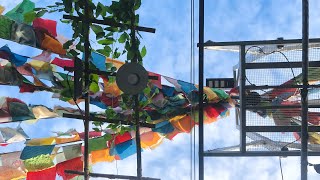 Decor Rooftop Garden with Tibetan Lungta Prayer Flags WindHorse Flag