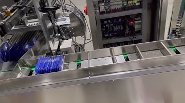 Automatic sachet or pouches counting and feeding device with cartoning machine
