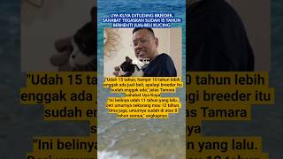 Uya Kuya Dituding Breeder Kucing youtubeshorts shorts beritaterkini masukberanda