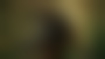 Warframe | Saryn Prime