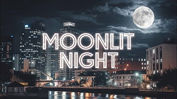 Note Fracker - Moonlit Night
