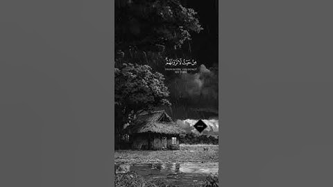 #الشيخ #ماهر_المعيقلي تلاوة خاشعة آية قصيرة من #القرآن_الكريم #اكسبلور #explore #لايك #quran #حالات