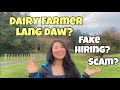 NAG NZ PARA MAGING DAIRY FARMER LANG DAW SABI NI KUYA||SCAM HIRING