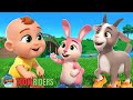 One Two Buckle My Shoe | Fun Counting Nursery Rhyme for Kids | Toon Riders