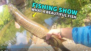 Fishin Show... What a Beautiful Fish
