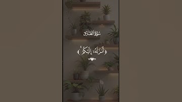 فضيلة الشيخ سعد الغامدي #سورة_الطلاق #القرآن_الكريم #relaxing #اكسبلور #kuran #تلاوة_خاشعة #تيك_توك