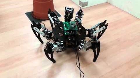 Wave Gait Version 01