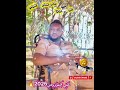 جديد شاب هشام 2026 عمي النموووشي نڤز لحووشي روائع اغنية محلية مايسترو ربيع