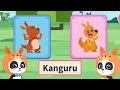 BELAJAR MENGENAL KELUARGA HEWAN KANGURU BERSAMA PANDA KIKI DAN MIUMIU | BABY BUS INDONESIA