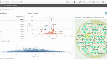 Qlik sense Extension D3 Circle Pack with Selection
