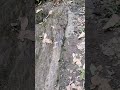 DIAS DE MONTAÑA 3