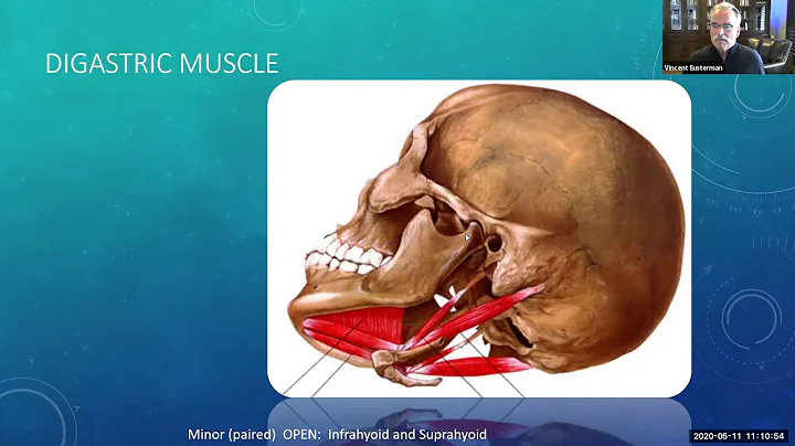 Mandible Fractures:  Things you should know. - Dr....