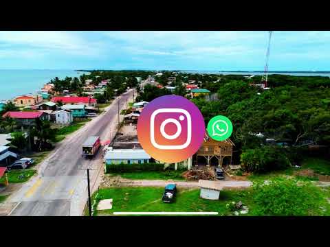 Vídeo: Consejos Para Ver Jaguar En Belice - Matador Network