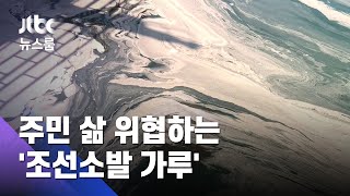 '페인트 가루' 바다에서 헤엄치는 갈매기…현중·대우 조선소 인근 주민들도 피해호소 / JTBC 뉴스룸