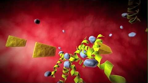 How von Willebrand Factor and ADAMTS13 Regulate Clotting