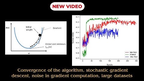 Convergence of algorithm, stochastic gradient descent, noise in gradient computation, large datasets