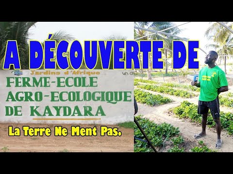 KAYDARA  FERME COLE AGRO COLOGIQUE UNE SOLUTION POUR LE DVELOPPEMENT