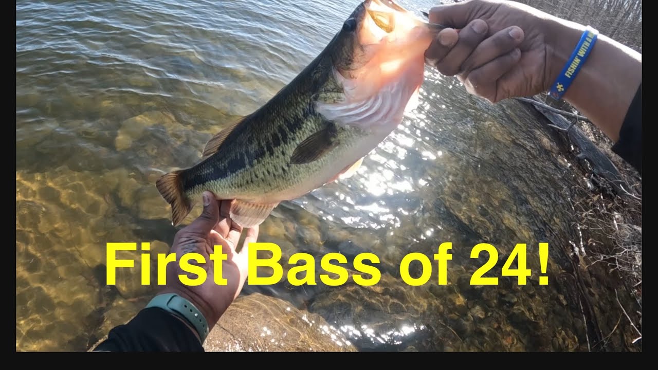 FIRST successful Spring bass fishing trip! Tips to catch more Bass