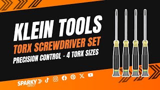 Klein Tools 85616 | TORX® Precision Screwdriver Set | 4-Piece