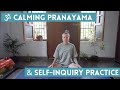 15 Min Calming Pranayama &amp; Meditation to Find Space &amp; Clarity Within