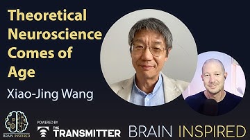 BI 215 Xiao-Jing Wang: Theoretical Neuroscience Comes of Age