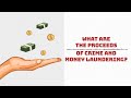 What are the proceeds of crime and money laundering? | AML Incubator