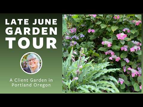 Garden Tour 🌿 A Client's Front Yard Garden in Late June