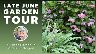 Garden Tour 🌿 A Client's Front Yard Garden in Late June