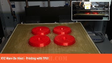 XYZ Ware Da Vinci  - Printing with TPU!