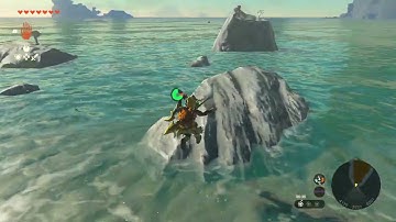 [DAY 264] of finding one korok seed in TotK everyday until a new Zelda game comes out