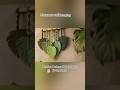 Handmade Macrame Leaf wall hangings| Shop wall hangings #wallhanging #wallhangings #walldecor