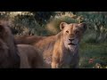 Le roi lion  simba et nala explication  le film