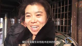 839狼的繁殖能力强吗？黑狼头胎生5个崽，养狼人冒着危险也要看一眼