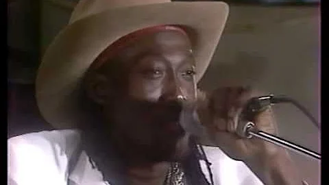 Ronald Abrams - I'm Ready(Muddy Waters)
