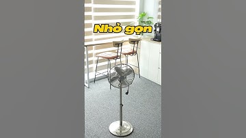 Quạt cây thân thép Brandson màu bạc | Đỉnh cao sang trọng cho phong cách tân cổ điển!