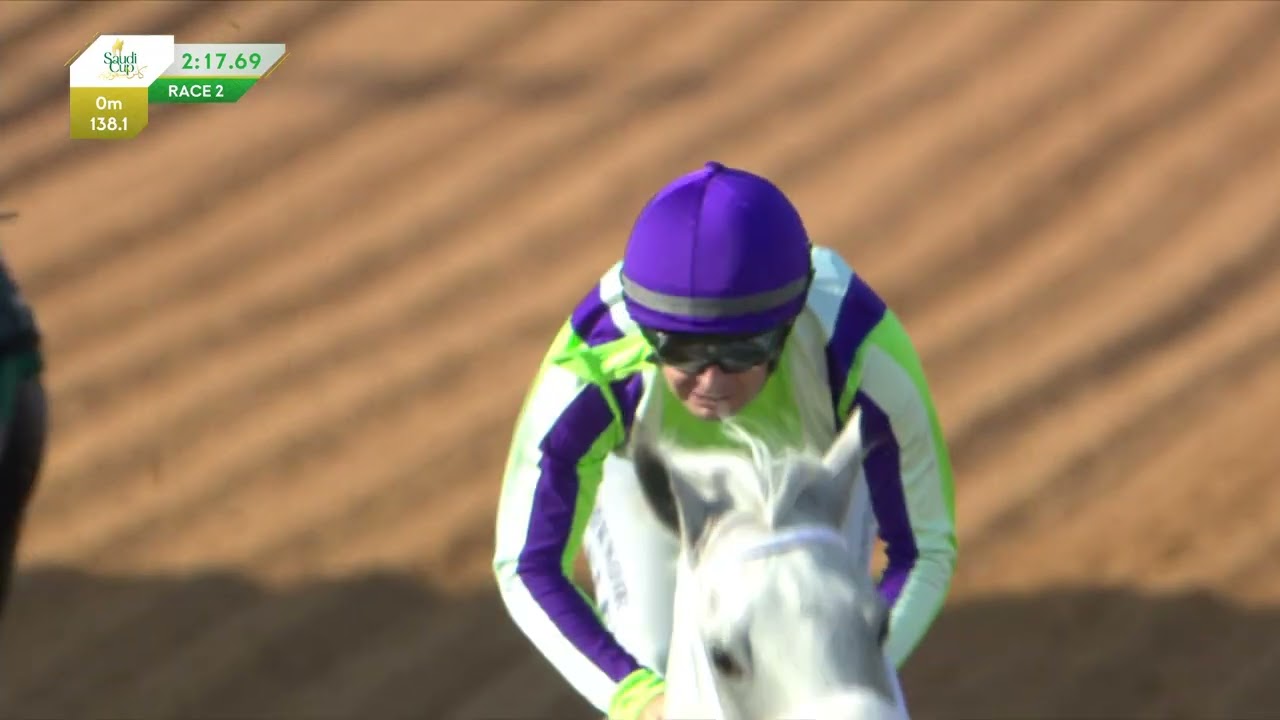 Obaiyah Arabian Classic Dirt (G1)