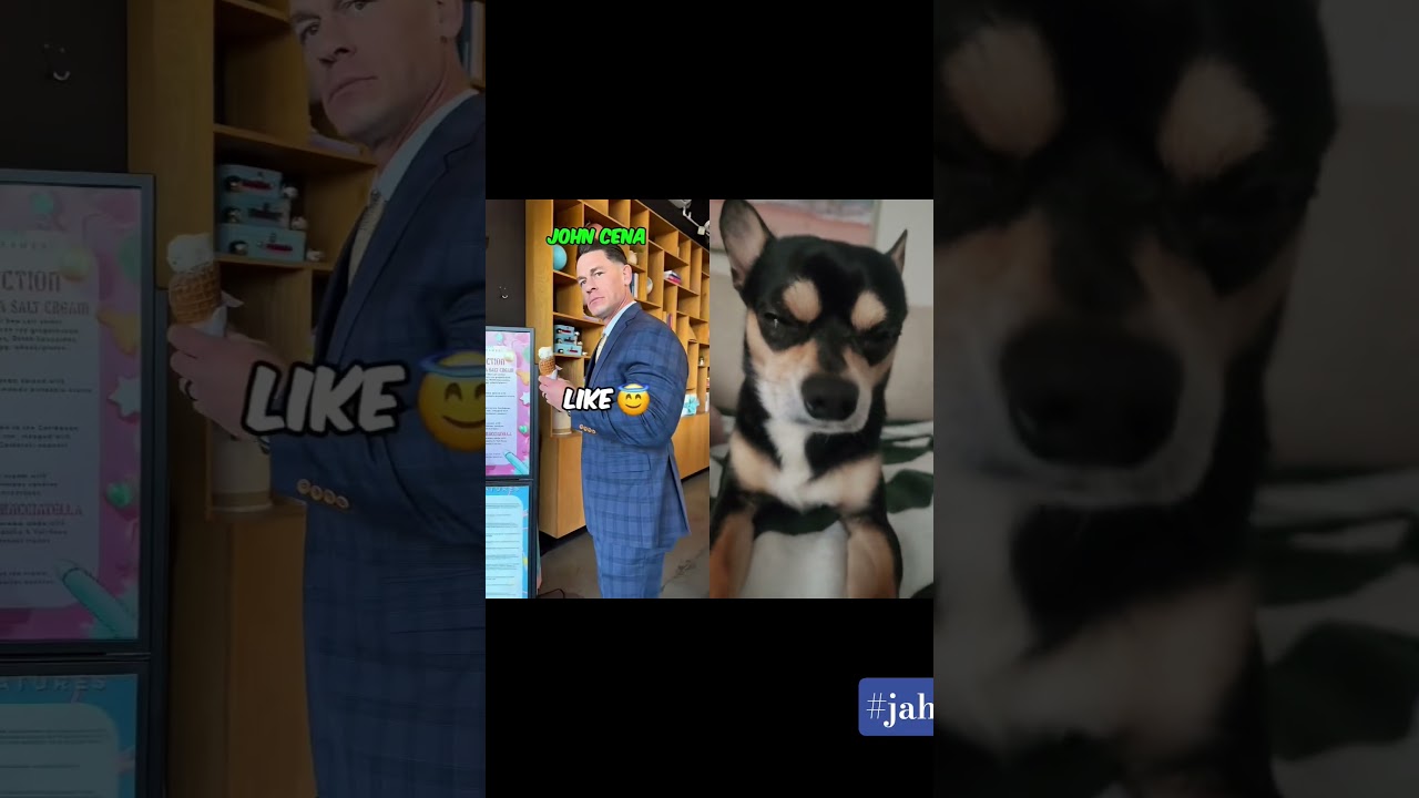 who would save you? #collab #trending #viralshorts #fyp #trendingreels #chihuahuafanclub